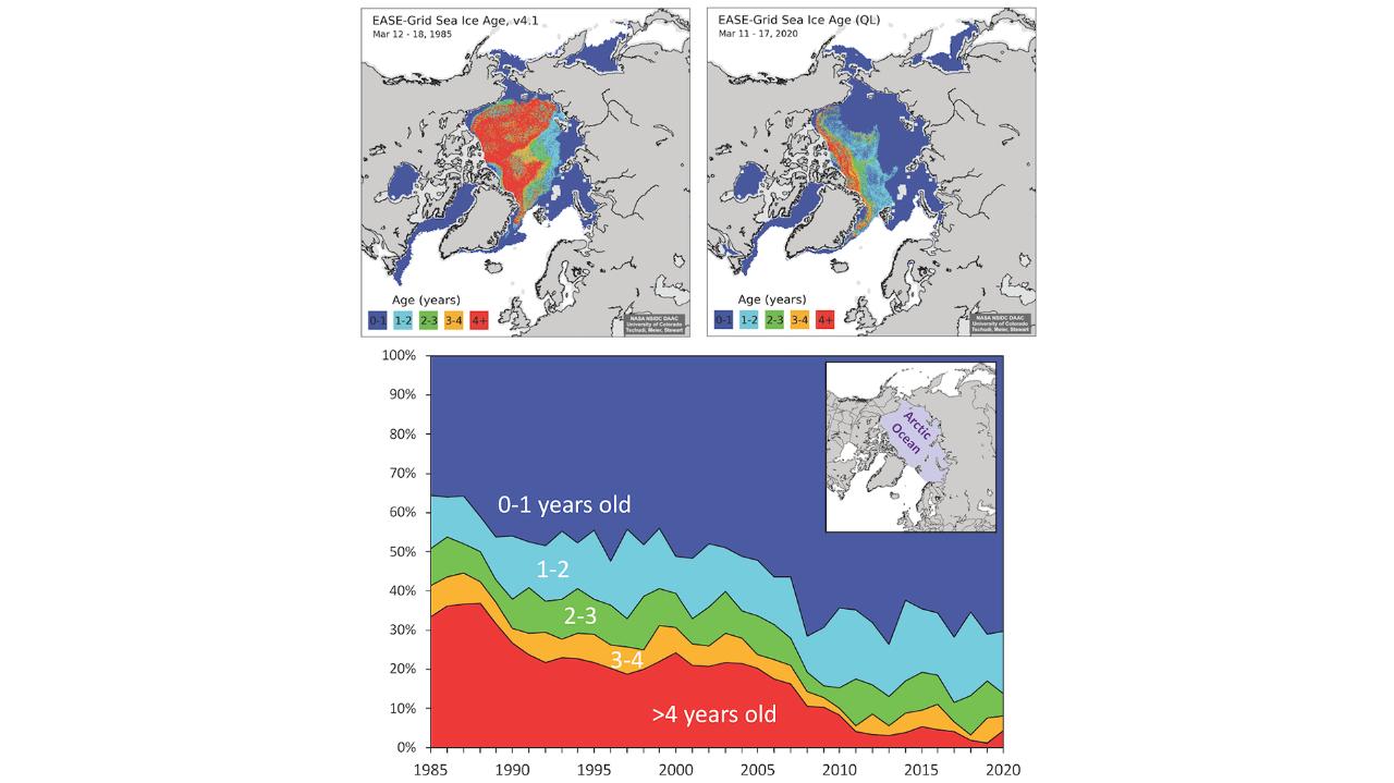 Graph displaying the age of ice in the Arctic Ocean
