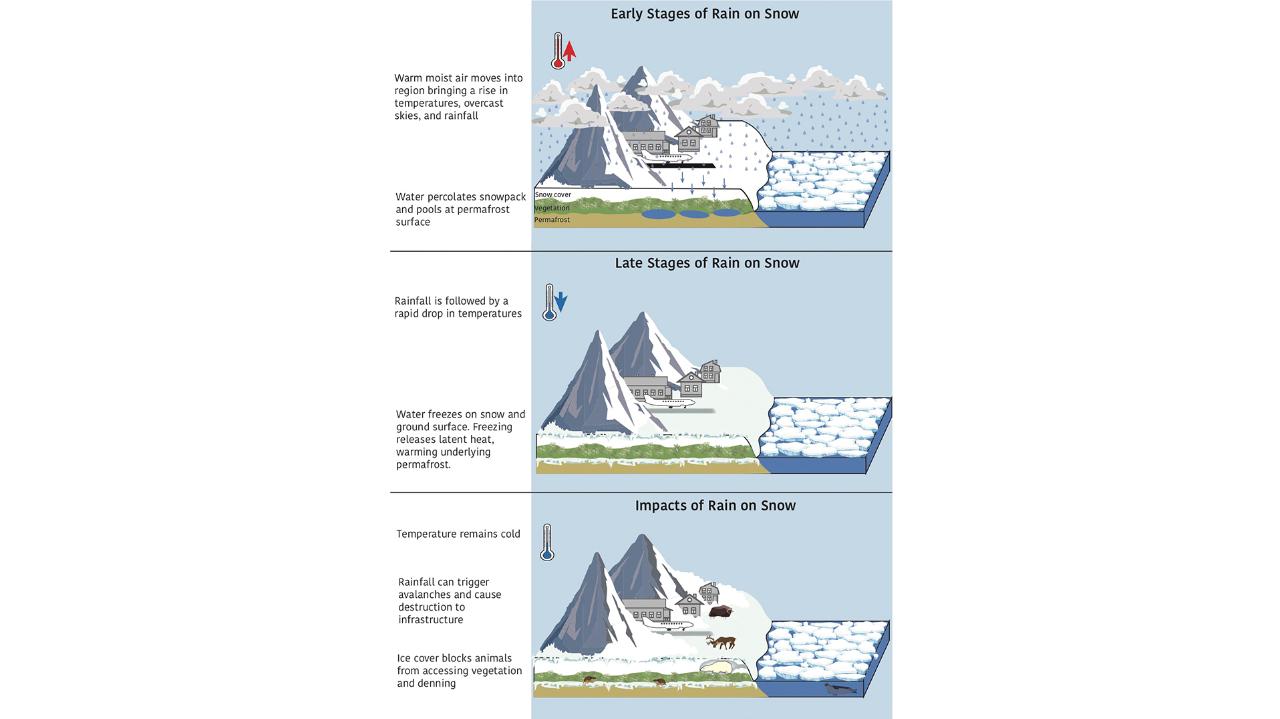 Graphic detailing the characteristics of arctic rain