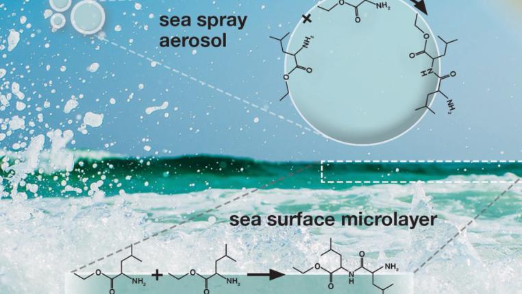 Chemistry at the water surface leading to peptide bond formation