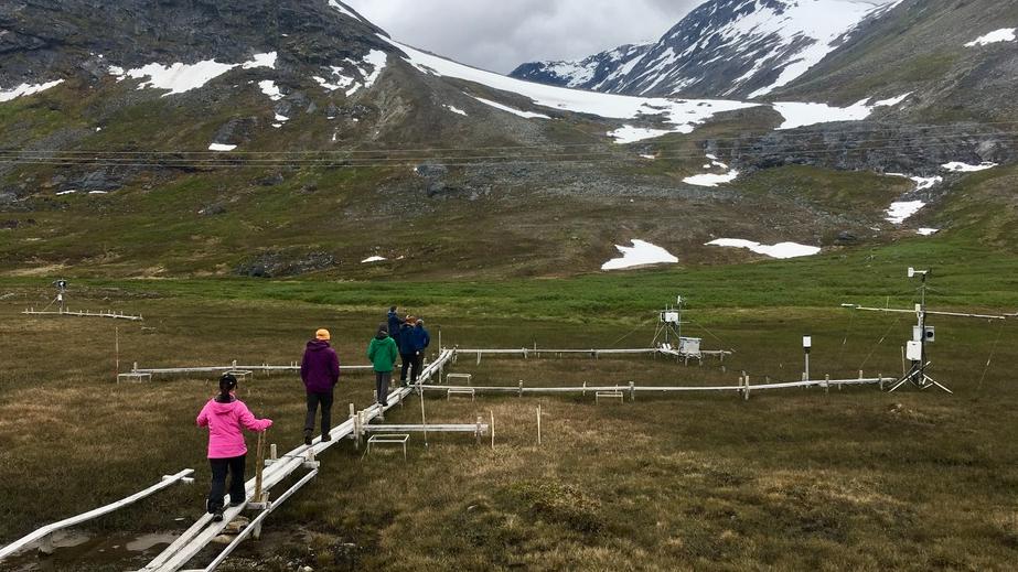 Participants traverse planks to look at instruments measuring tundra characteristics.