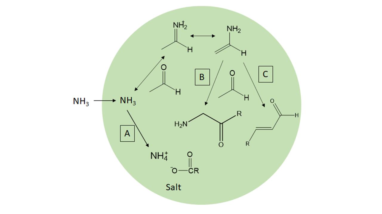graphic of NHx-organic compound reactions