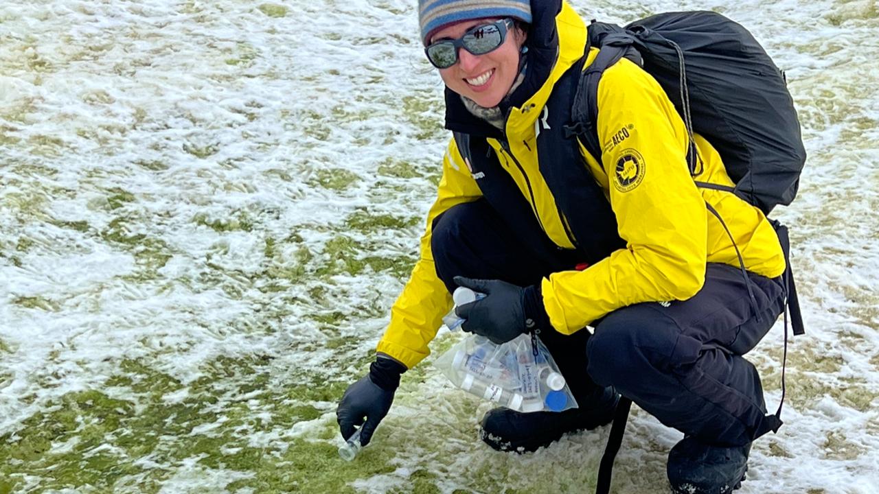 Collecting coastal antarctic snow algae.